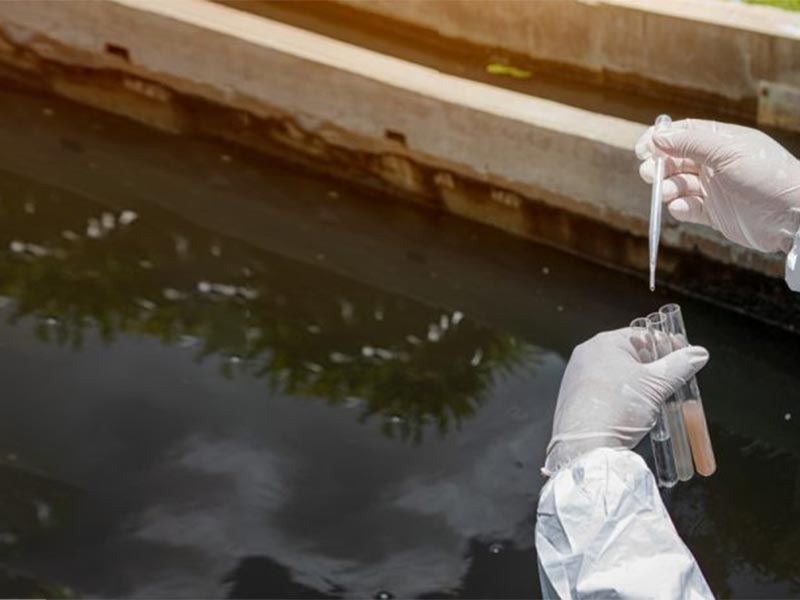 VJS Phytosanitary Service Pvt Ltd (Food Testing Laboratory)